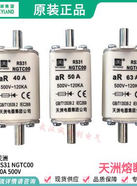 RS31 NGTC00 40A 500V 50A 63A 80A 100A天洲电器集团公司 熔断器