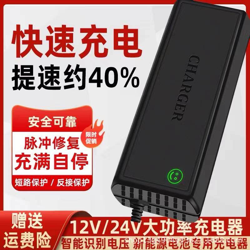 电动叉车充电器液压堆高车推高12V24V20A30A观光代步车电瓶充电机