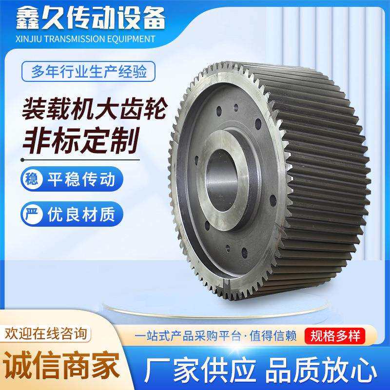 供应装载机专用工业大齿轮硬齿面大模数齿轮非标不锈钢齿轮