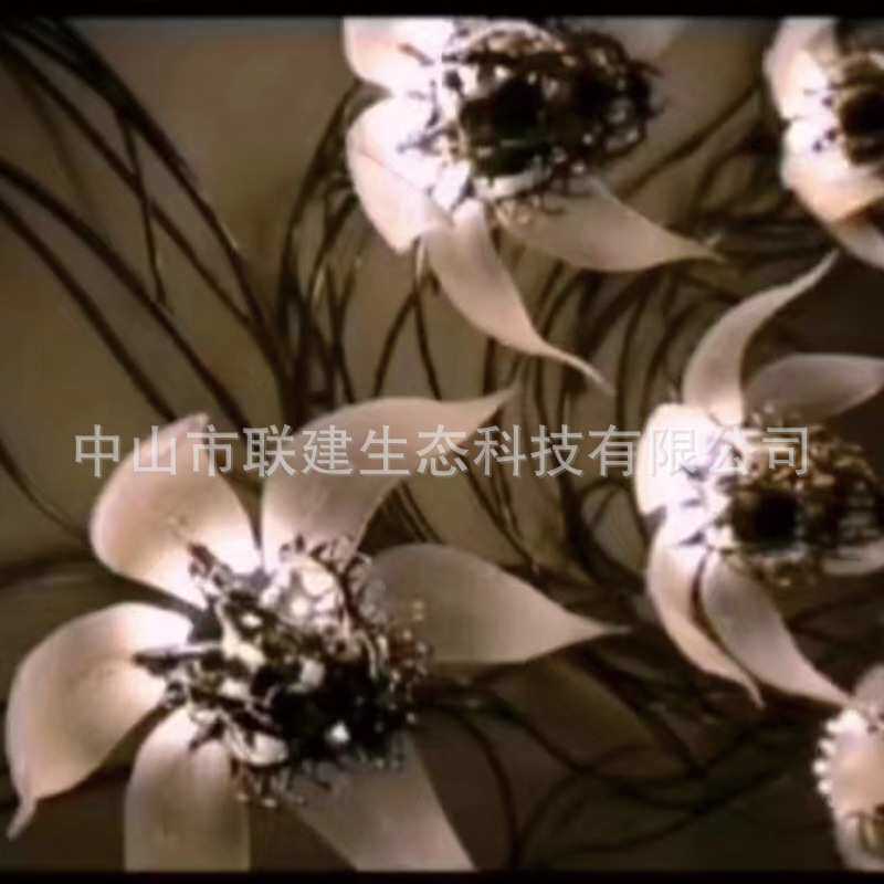 厂家直销 文旅互动灯光装置 机械控制LED 亚克力开合花灯园林景观
