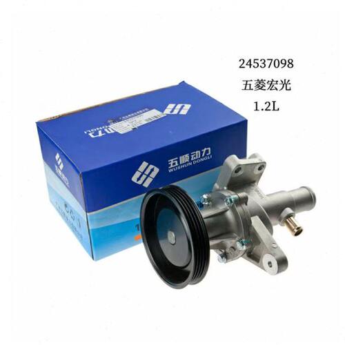 乐驰宏光 S 1.2L水泵总成
