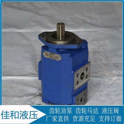 P124B182XDZA05-54PBZA02-1泊姆克双联齿轮泵