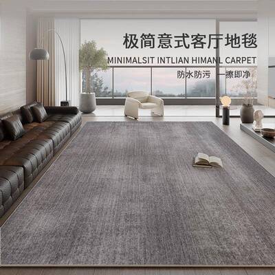 地毯室客厅202水新款高级感灰色轻奢免洗可擦防卧qrmb20094床边耐