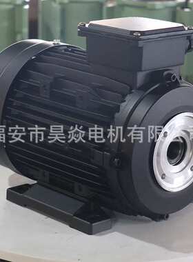 三相5.5KW空心轴内插电机与AR，霍克，interpump高压泵等匹配