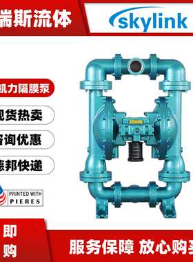 斯凯力气动隔膜泵LS40AA-AA-SP-SP-SP-00耐腐蚀流体运输铝合金泵