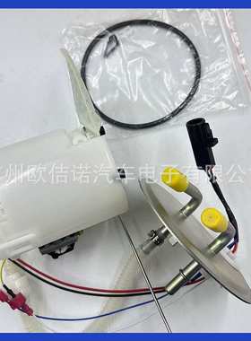 E2453M 5L8Z-9H307-A 7L8Z-9H307-B 适用福特翼虎05-07燃油泵总成
