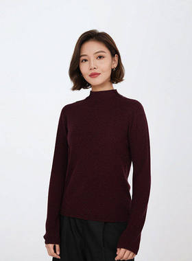 【一一专享】精纺可机洗100%绵羊毛半高领针织衫1N5007