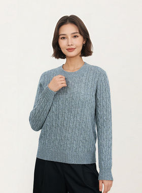 【甜甜粉丝专享】圆领毛针织衫100绵羊毛提花休闲长袖1N6003