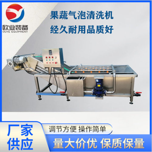水果气泡清洗机 蔬菜清洗流水线 净菜清洗机器 终生售后