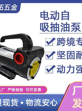 12v24v220v200w大功率电动便携式抽油泵