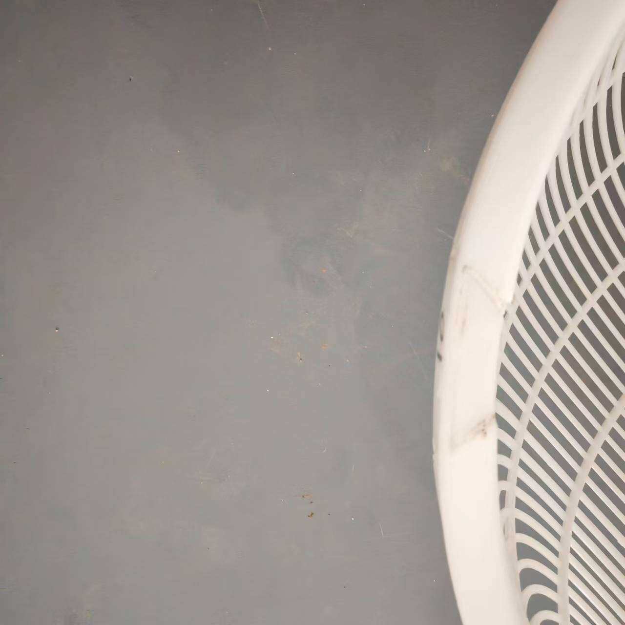 塑料分鱼筛鱼苗大小漏网筐小龙虾河虾分拣专用筛子筛虾神器新款筛