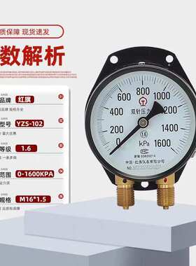 红旗  双针双管压力表 YZS-102厂家直销铁路双针压力表汽修压力表