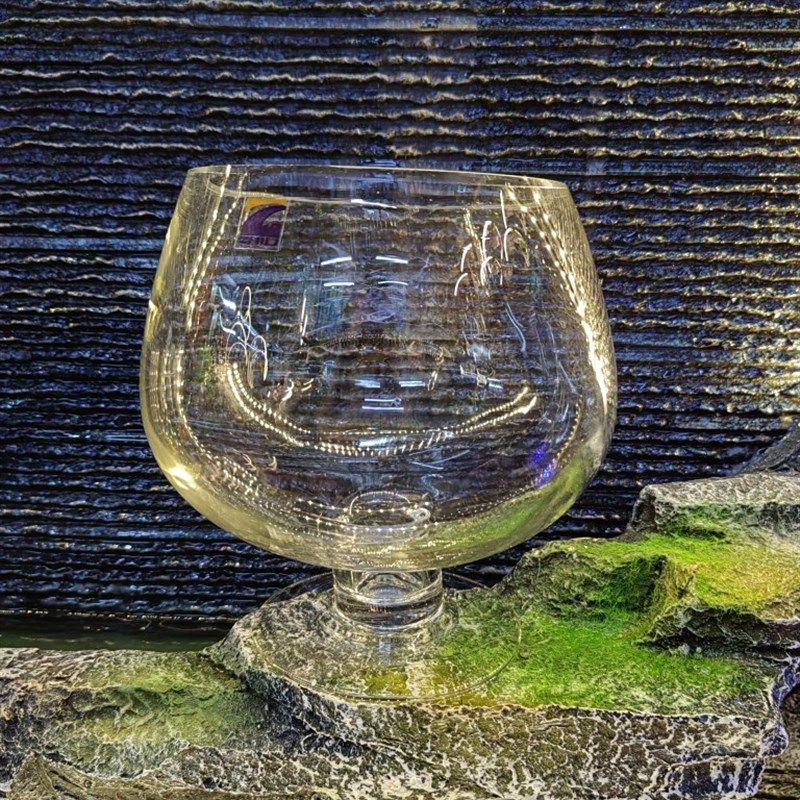 水培透明玻璃花瓶酒杯形玻璃鱼缸创意高脚台面花瓶绿萝红掌水培瓶