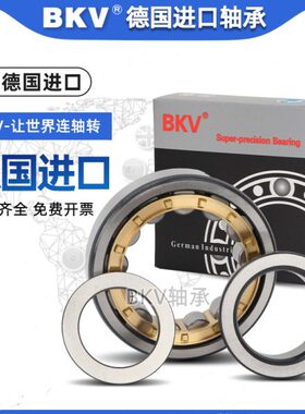 BKV德国进口NJ NU303 304 305 306 307 308 309 310M圆柱滚子轴承
