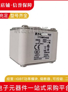 170M5394 170M5395 170M5396 170M5397 170M5398全新熔断器现货