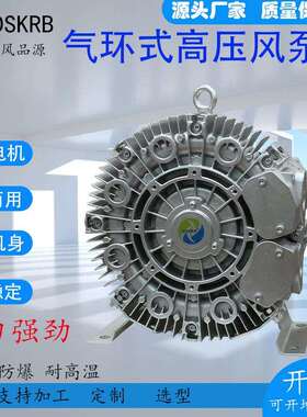 4RB高负压旋涡气泵漩涡风机4KW气环式真空泵高压风机吹吸两用