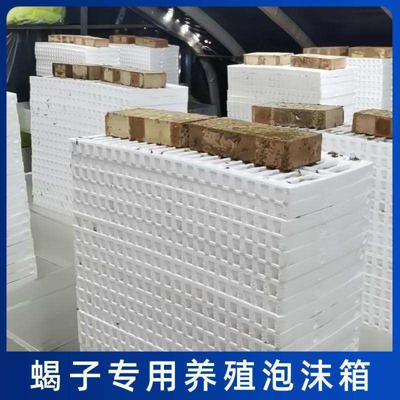 蝎子养殖蝎窝蝎苗二龄三龄四龄繁殖退皮群脱多功能泡沫养殖盒工具
