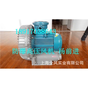 爆炸性气体输送 防爆鼓气泵