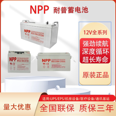 NPP耐普NPG12-100AH 12V38AH12V65AH消防电梯应急UPS免维护