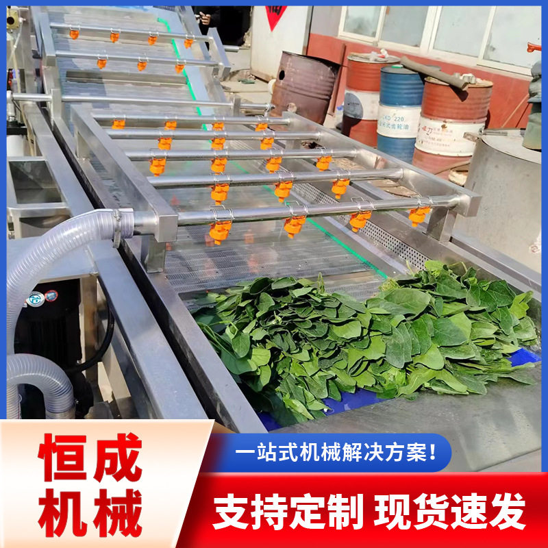 商用洗果机瓜果蔬菜洗菜机高压喷洗果机/洗菜机