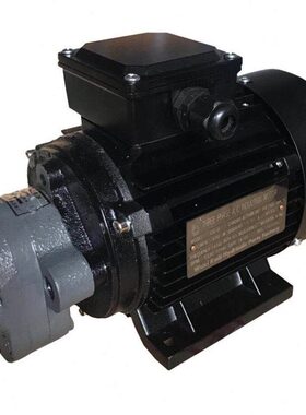 7134-055KW-CBW2.5/4/6/10齿轮泵油泵电机润滑泵叶片泵 柱塞泵