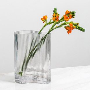水养玻璃花瓶网红透明竖条纹客厅简约家用桌面装饰品欧式脚印花瓶