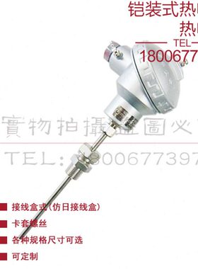 铠装热电偶WZPK-321 323 324 325 326 328铠装热电阻PT100铂电阻