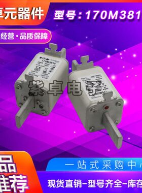 170M3815D 170M3816D 170M3817D 170M3818D 170M3819D快速熔断器