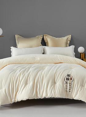 A类维大豆纤被芯冬被子加蓬松人NJY1020012厚斤春秋夏单宿舍棉被