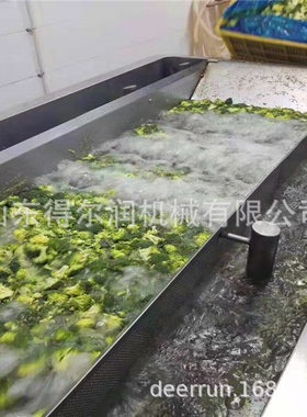 2020蔬菜加工新模式 速冻油菜花/西蓝花清洗漂烫冷却流水线设备