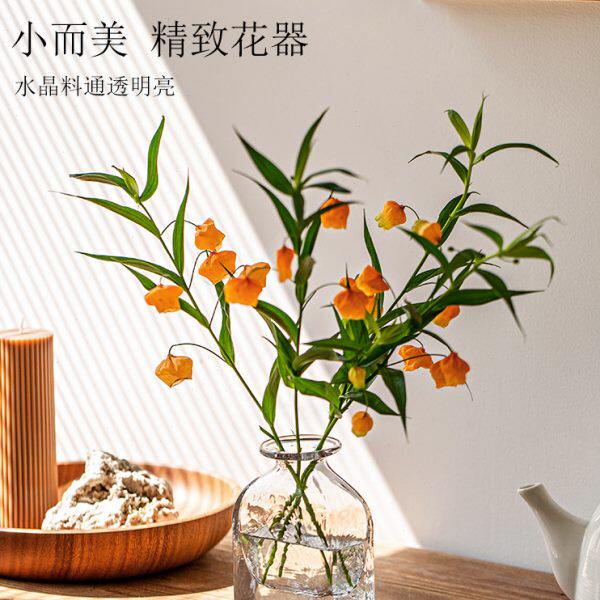 花瓶摆件客厅插花玻璃透明水养高级感现代简约轻奢鲜花水培装饰小