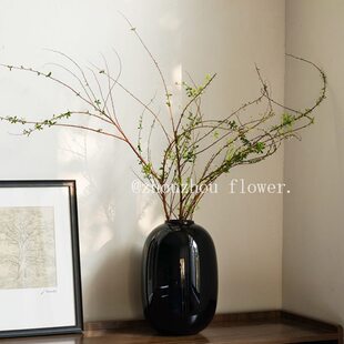 高级感简约花瓶客厅摆件玻璃水养雪柳马醉木南天竹吊钟落地装饰品