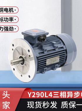 现货三相异步电动机Y290L4非标全铜线电机机械设备用电动机
