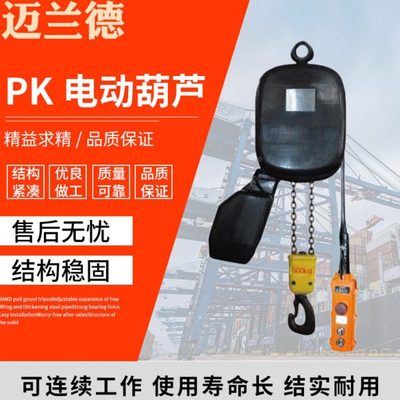 3米标准双链条起重吊双速电葫芦大吨位吊机PK型环链电动葫芦