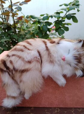 仿真猫咪电视挂猫汽车摆件客厅家居饰品摆件礼品生日礼物工艺品