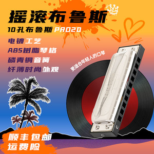 东方鼎摇滚布鲁斯十孔口琴10孔初学专业演奏款PRO 20paddy 音调