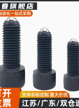 内六角球头柱塞BPRL4/5/6/8/10/12/16-10/15/20/30/ZC108-1