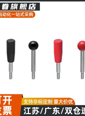 不锈钢球形握柄把手LBGS6/8/10/12-63/80/100/125/160/200-R B