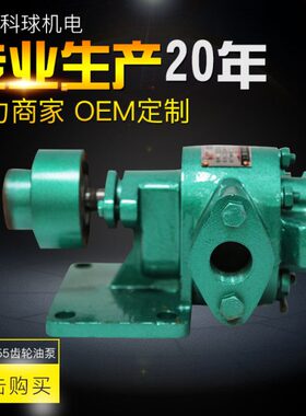 上海科球齿轮式油泵KCB55 200 300卸柴油机油泵船用扫舱泵CB2-2