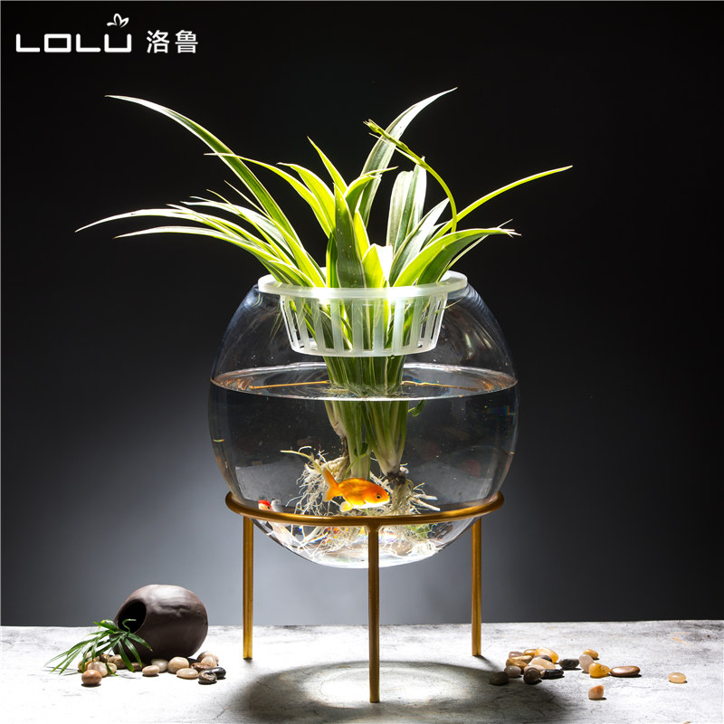 加厚水培b植物玻璃瓶 圆形透明玻璃花瓶绿萝客厅玻璃器皿摆件