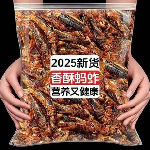 山东特产新鲜油炸蚂蚱五香即食香辣油炸蝗虫下酒菜 冲量热卖