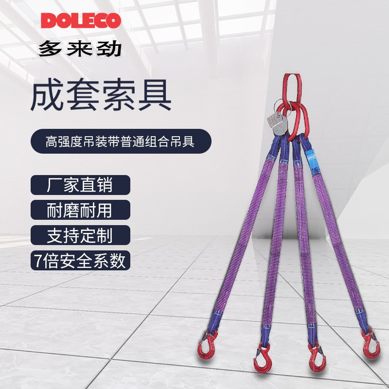 德国DOLECO工业起重耐磨吊带多来劲扁平涤纶吊装带组合 吊带索具