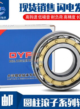 丹洋圆柱滚子轴承 N NU NJ RN NUP NF 409 410 411 412 E M C3 4K