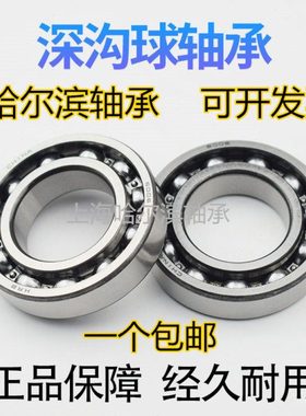 HRB哈尔滨轴承6024 6026 6028 6030 6032 6034 6036 6038-2Z ZZ