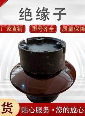 电站用针式支柱绝缘子电解铝厂用电解槽支撑绝缘子ZPD-10  ZPD-35
