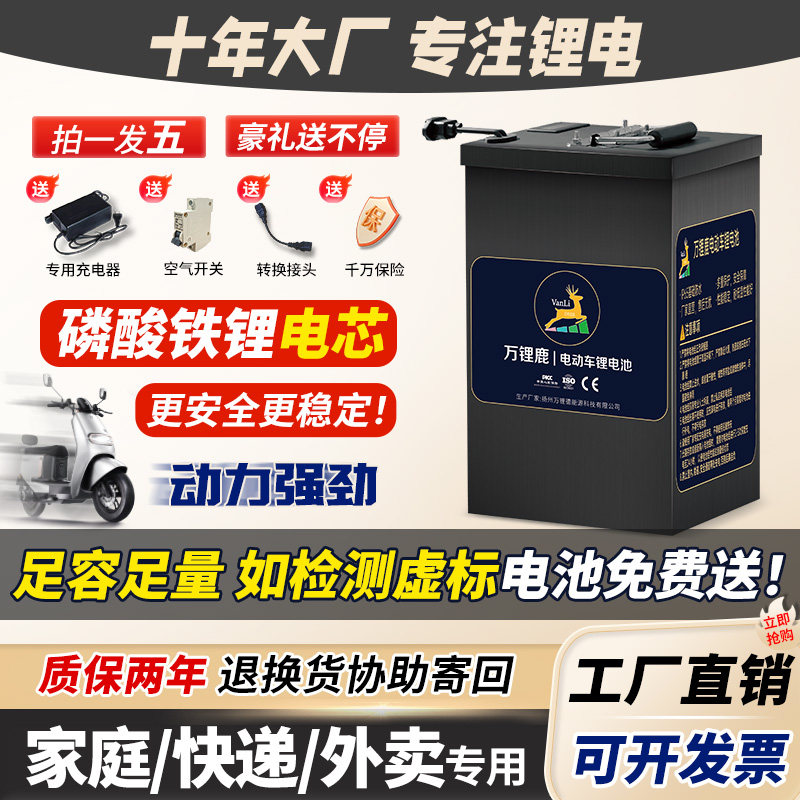 磷酸铁锂电池大容量蓄电池外卖/快递/家用电动车电动摩托车专用