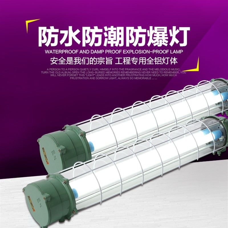 LED防爆灯隔爆型荧光灯管1*40W单双管车库加油站防潮灯三防日光灯