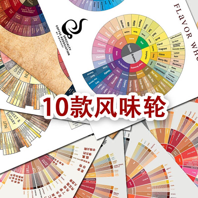 微瞳超大尺寸反文化咖啡风味轮图 油画布海报 创意咖啡厅装饰画