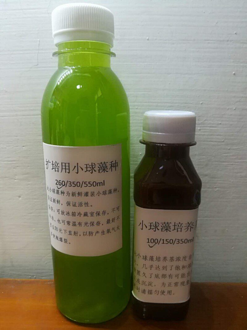小球藻扩培套装藻种绿水+培养基激活素快速增殖水产养殖调水改水
