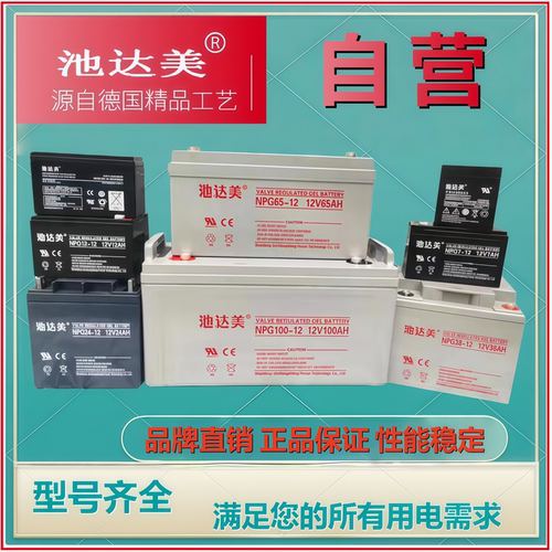 池达美蓄电池真足容铅酸免维护NP24-12 NP38-12 NP65-12 NP100-12